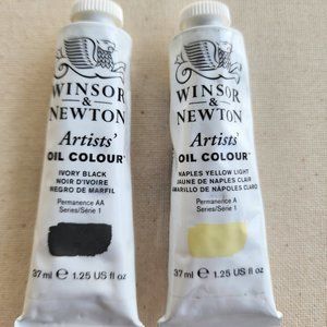 Winsor & Newton Artists Oil Colour, 37 ml x 2, Naples Yellow Light, Ivory Black.